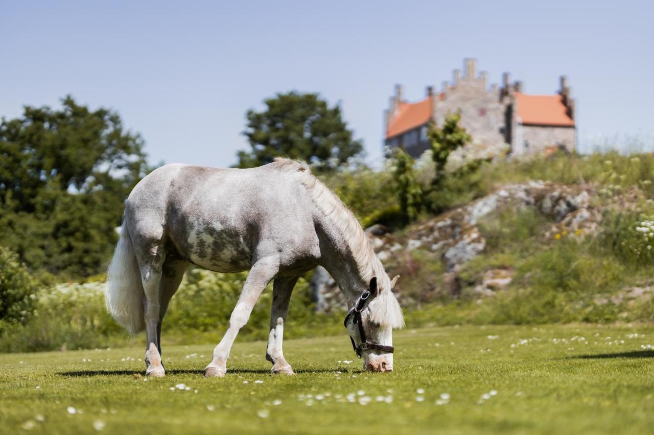 Hotel Gyllene Uttern Gränna Esterno foto